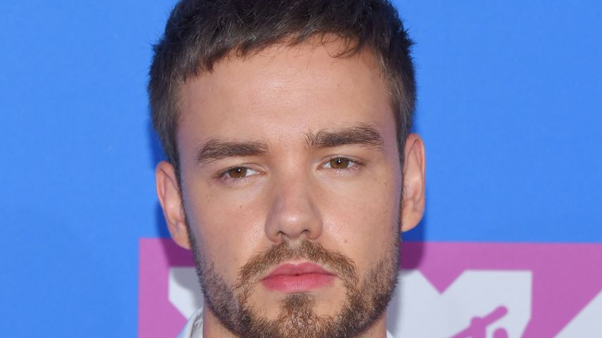 Liam Payne, Sänger