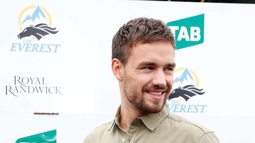 Liam Payne, Sänger