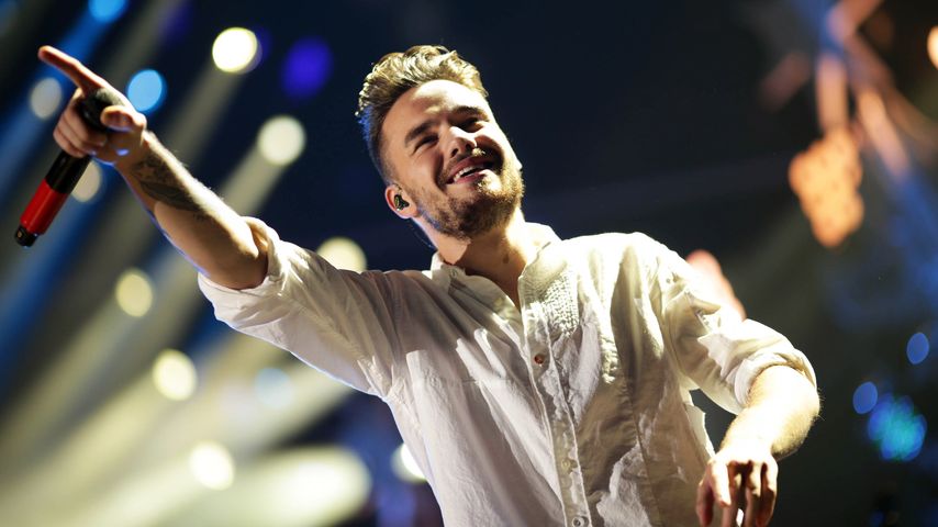 "Building the Band"-Co-Stars erinnern sich an Liam Payne