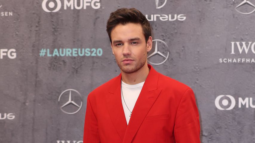 Liam Payne, Musiker