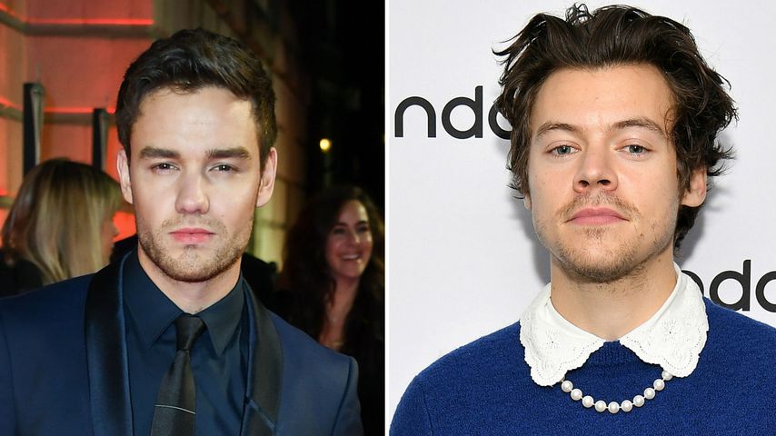 Das hält Liam Payne von Harry Styles' Vogue-Cover im Kleid