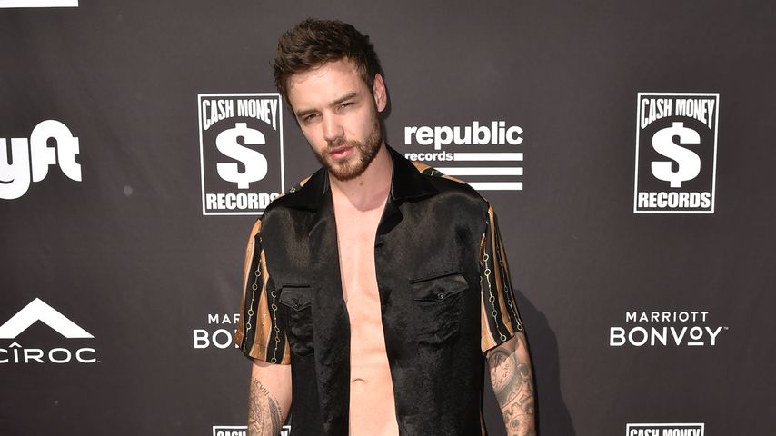 Liam Payne, Popstar