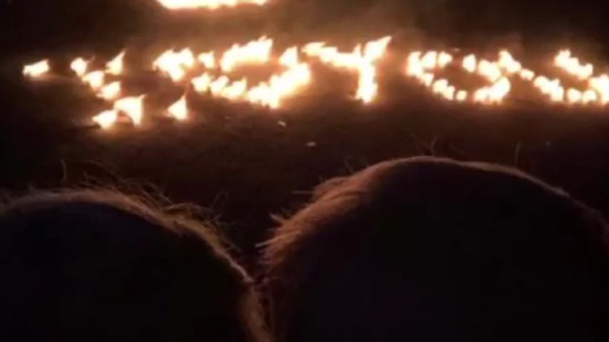 Liebeserklärung in Nils Dwortzaks Story