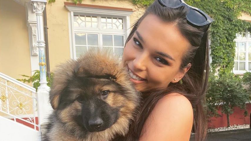 Ganz flauschig! "Let's Dance"-Lili hat einen neuen Welpen