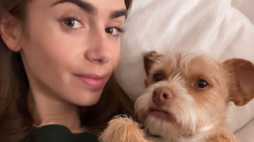 Lily Collins mit ihrem Hund, November 2021