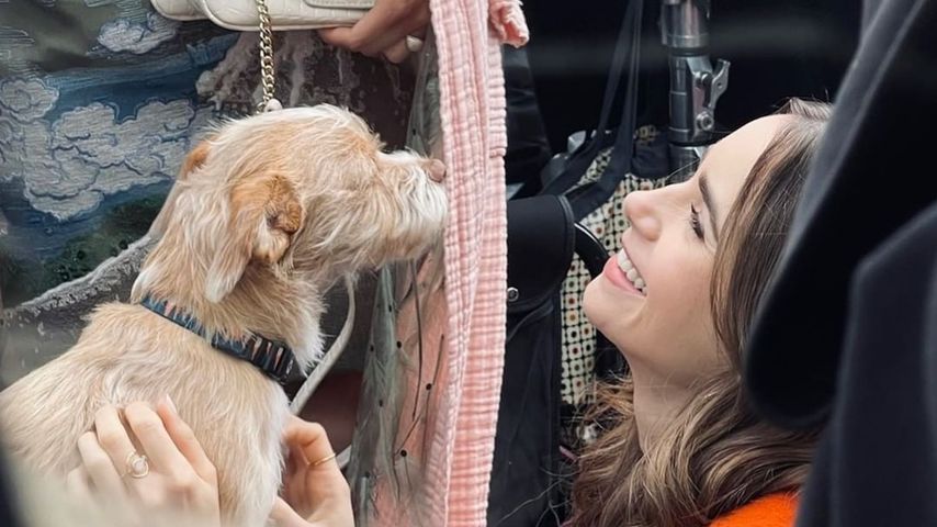Lily Collins mit ihrem Hund Redford