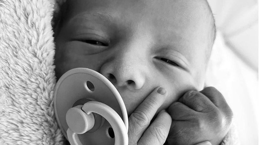 Lion Daryl, Sohn von Todd Carney und Susie Bradley