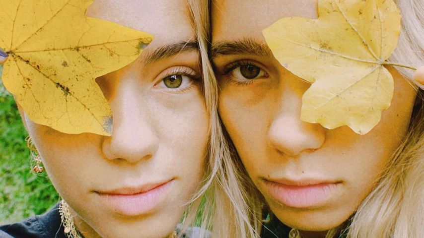 Lisa und Lena, Influencerinnen
