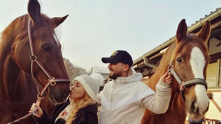 Gestüt auf Promo aus? Lisha und Lou kaufen Pferd doch nicht