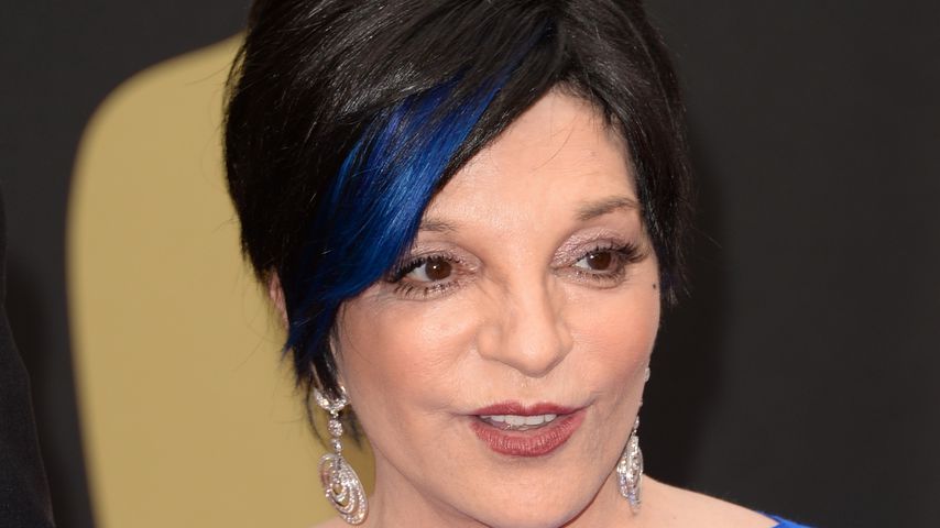 Liza Minnelli, Sängerin und Schauspielerin