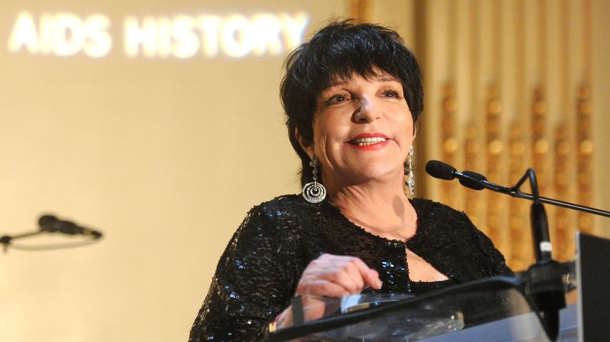 Liza Minnelli bei der amfAR Gala 2013 in New York