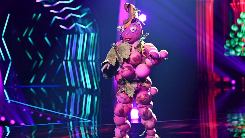 Kurz vor Finale: "Masked Singer Austria"-Weintraube entlarvt