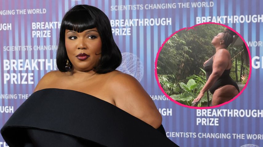 Collage: Lizzo, Sängerin