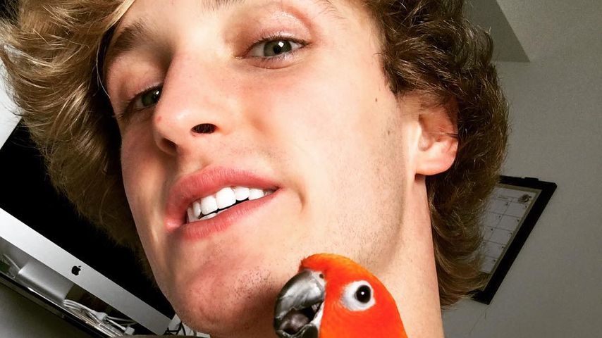 Logan Paul mit Papagei Maverick