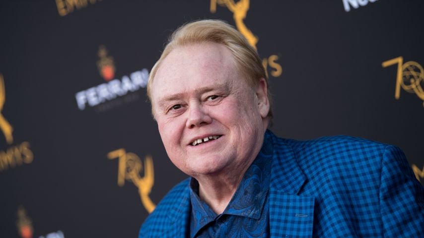 Louie Anderson, Komiker