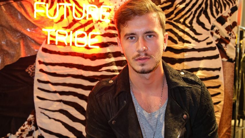 Louis Darcis, Netz-Star