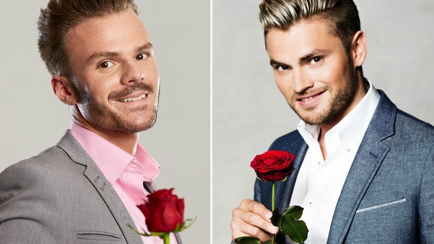 "Der Wahnsinn": Bachelorette-Luca macht den Johannes Haller!