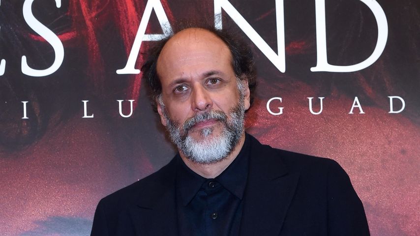 Luca Guadagnino, Regisseur
