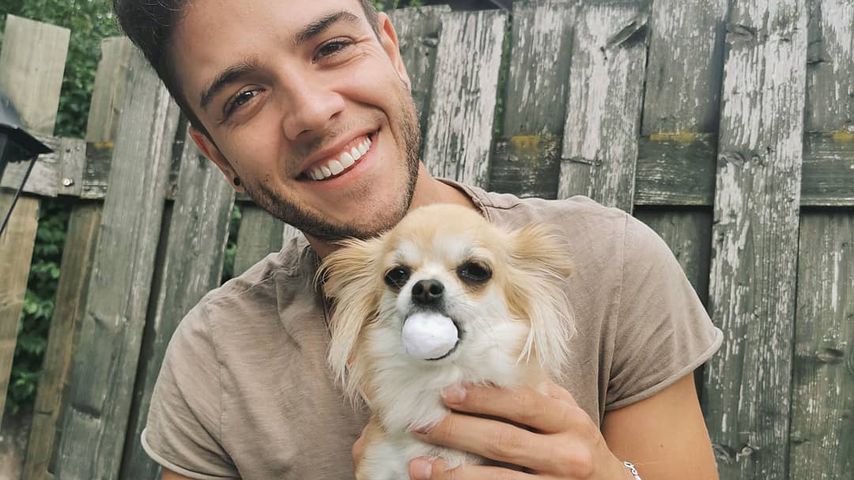 Luca Hänni mit seiner Hündin Nala im August 2019