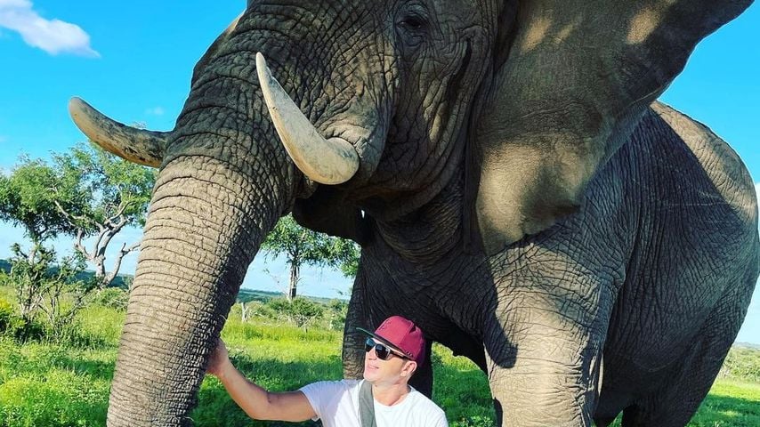 Lucas Cordalis in Südafrika, Januar 2022