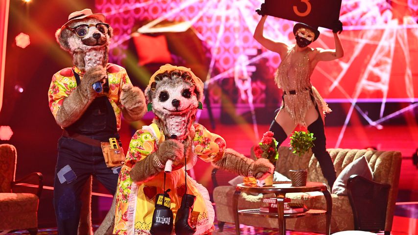 Lucas Cordalis und Daniela Katzenberger als Erdmännchen im "The Masked Singer"-Finale 2020