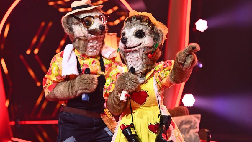 Lucas Cordalis und Daniela Katzenberger als Erdmännchen im "The Masked Singer"-Finale