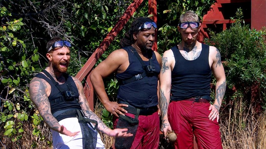 Luigi Birofio, Mola Adebisi und Eric Stehfest im Allstars-Dschungelcamp