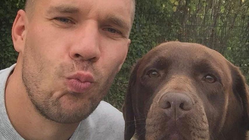 Emotionale Worte: Lukas Podolski trauert um Hündin Holly
