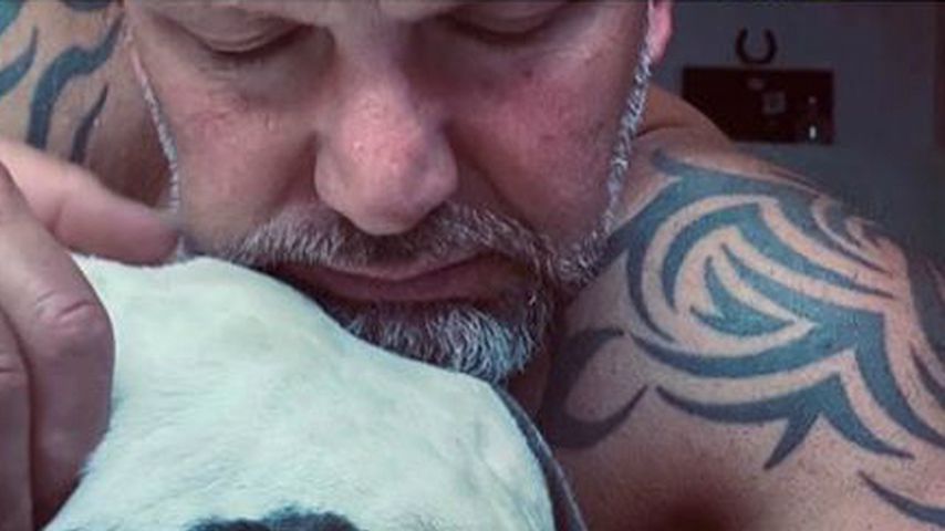 BTN-Star Lutz Schweigel trauert: Sein Hund Brutus ist tot