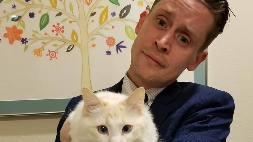 Macaulay Culkin im Juni 2019