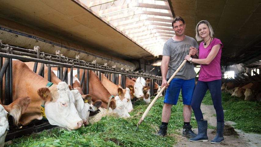 "Bauer sucht Frau"-Manfred und Susanne halten schon Händchen