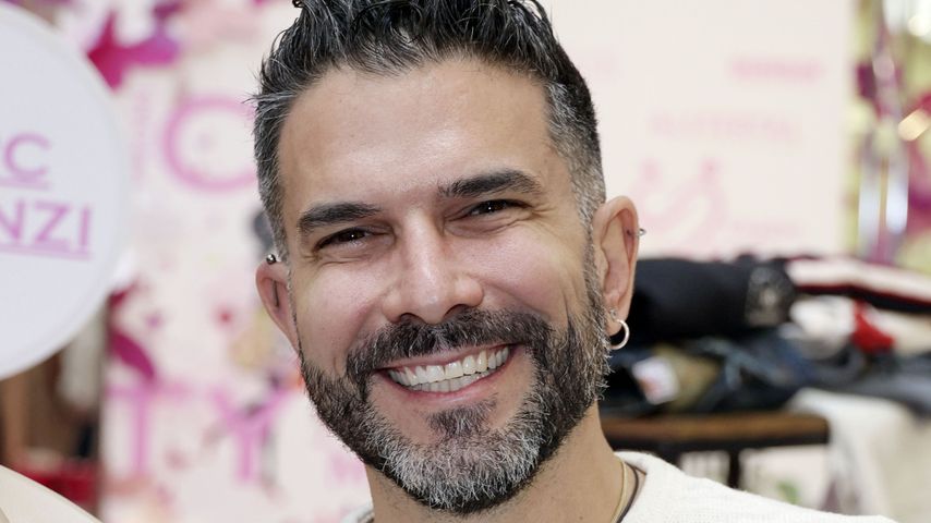 Marc Terenzi, Sänger