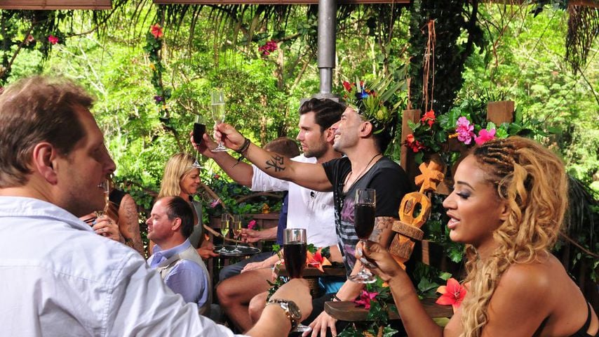 Jens Büchner, Alexander "Honey" Keen, Marc Terenzi und Sarah Joelle Jahnel im Dschungelcamp 2017