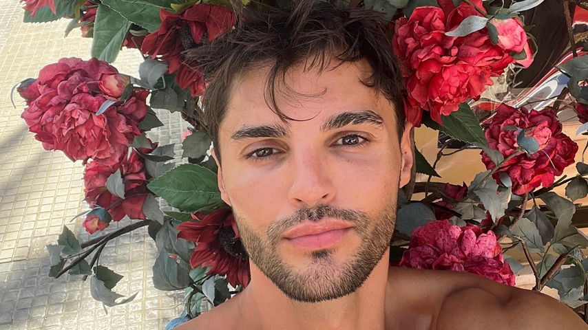 Mit diesen "Love Island VIP"-Stars pflegt Marcellino Kontakt