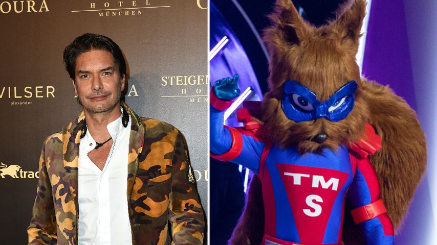 Collage: Marcus Schenkenberg und das "The Masked Singer"-Eichhörnchen
