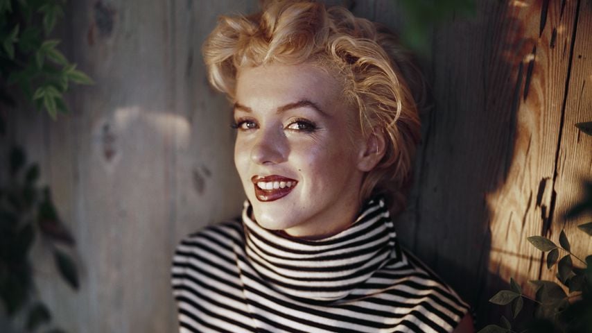 Marilyn Monroe 1954