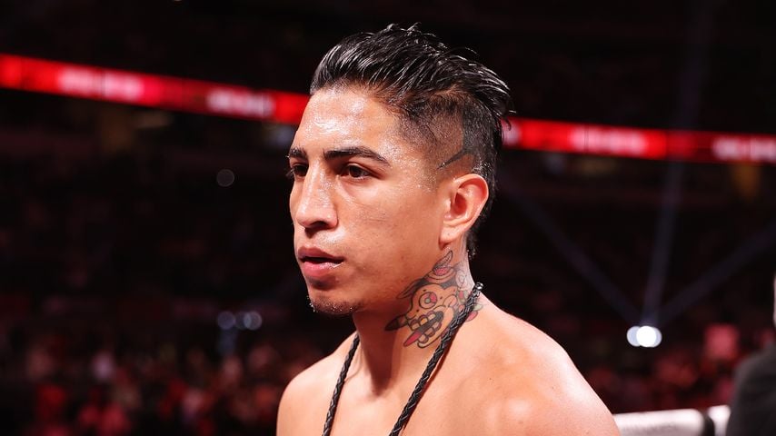 Mario Barrios, Profiboxer