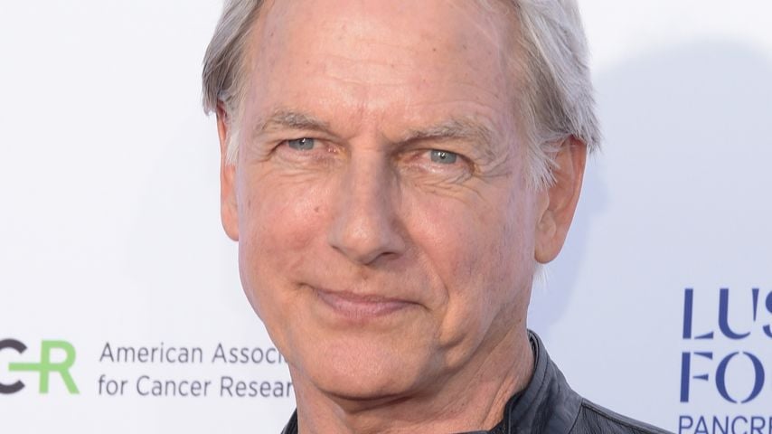 Mark Harmon feiert kurzes "Navy CIS"-Comeback als Gibbs