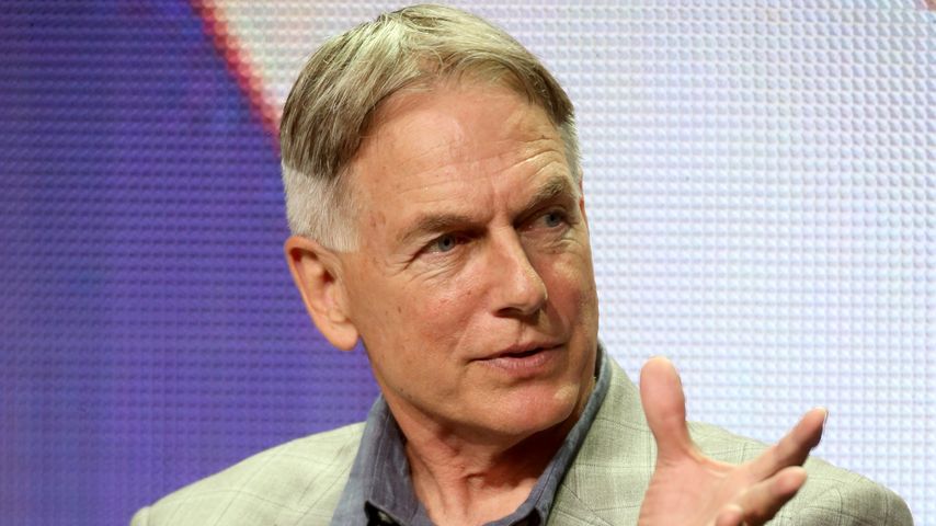 Mark Harmon, Schauspieler
