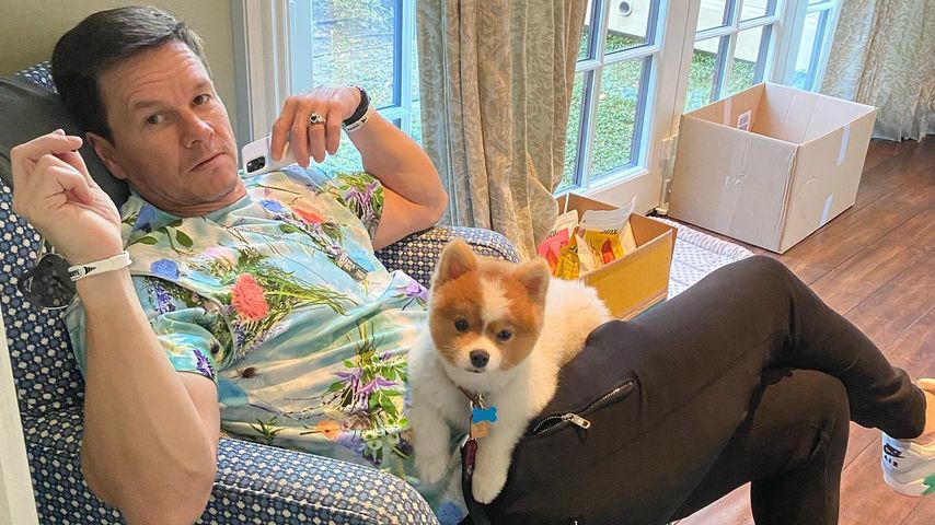 Schauspieler Mark Wahlberg und sein Hund Champ