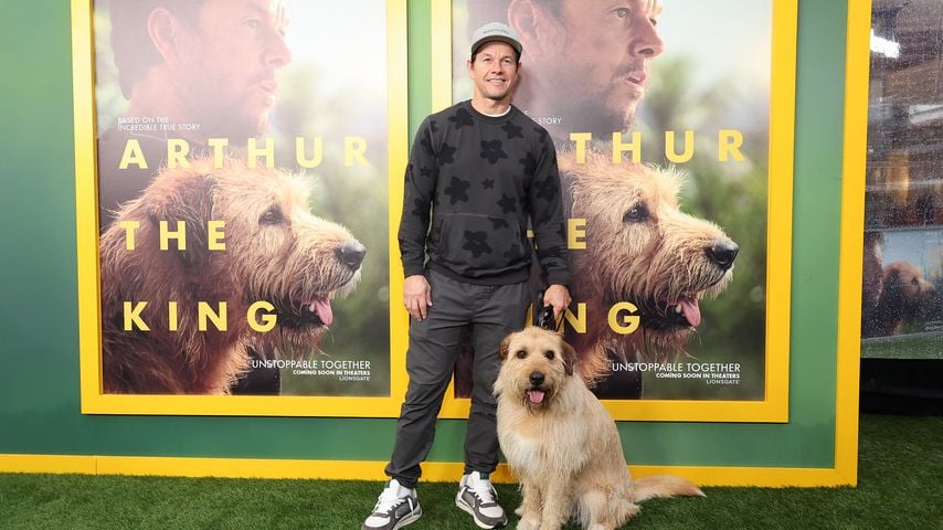 Mark Wahlberg bei einer Filmpremiere im Februar 2024