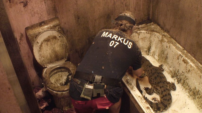 Markus Reinecke in der Dschungelprüfung an Tag neun