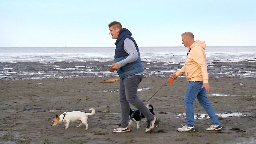 Markus und Milchbauer Heino in Folge neun von "Bauer sucht Frau"