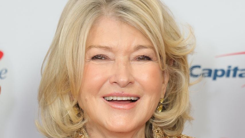 Martha Stewart, TV-Star