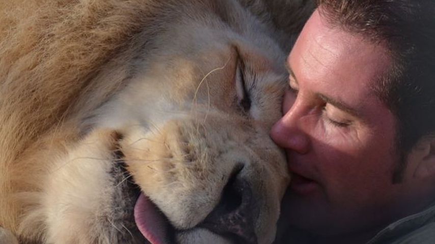 Martin Lacey jr. mit dem Löwen King Tonga