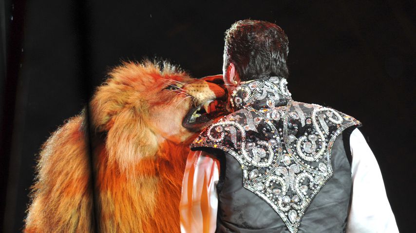 Martin Lacey jr. mit dem Löwen King Tonga, April 2011