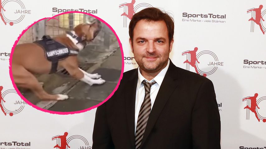 Nach Fan-Kritik: Martin Rütter nimmt Pflegerin in Schutz
