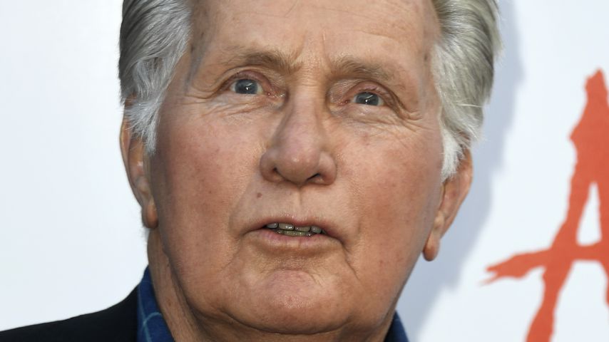 Martin Sheen, Schauspieler