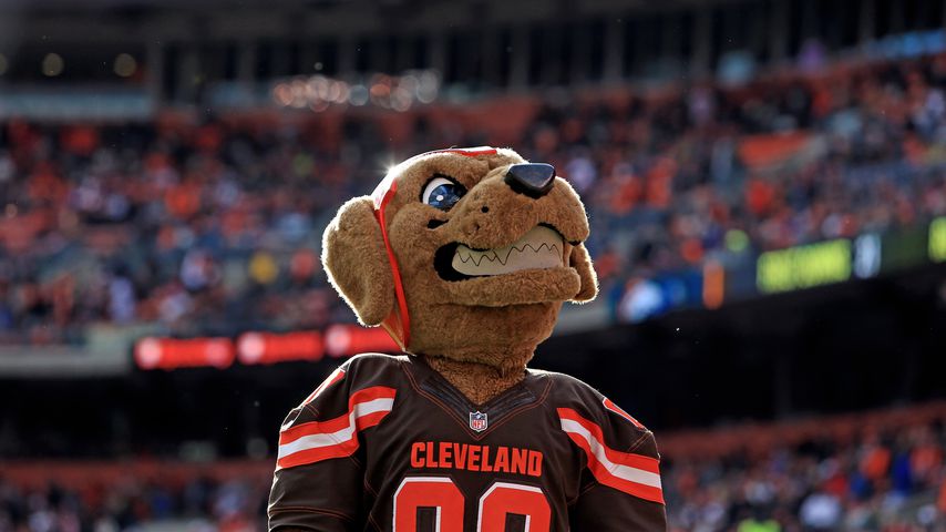 Maskottchen der Cleveland Browns