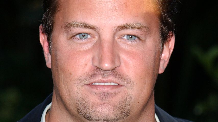 Matthew Perry, Schauspieler